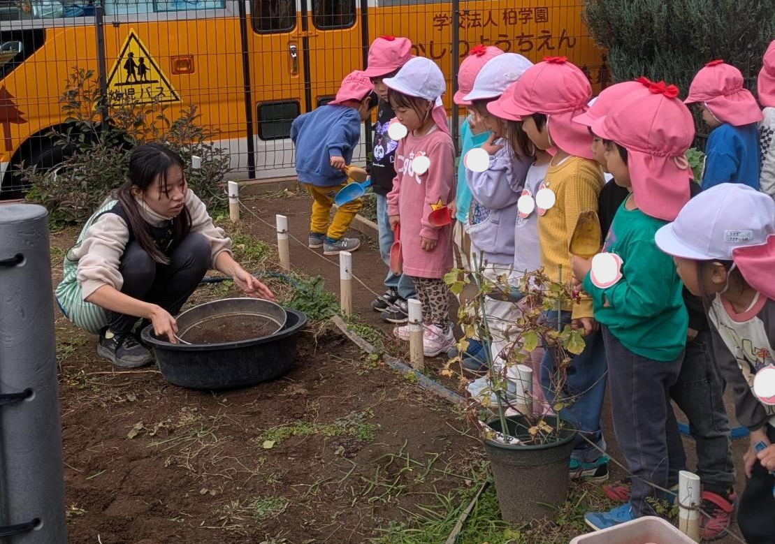 年少組 春咲きの花~チューリップ・クリサンセマム~